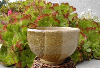 Tri-colored bowl by Gene Miller